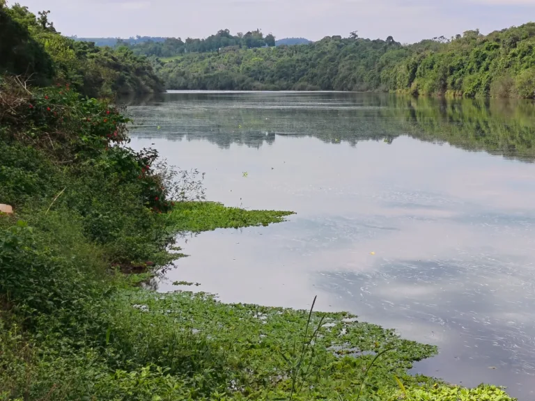 Veja quanto choveu em Beltrão e região e a previsão para o domingo