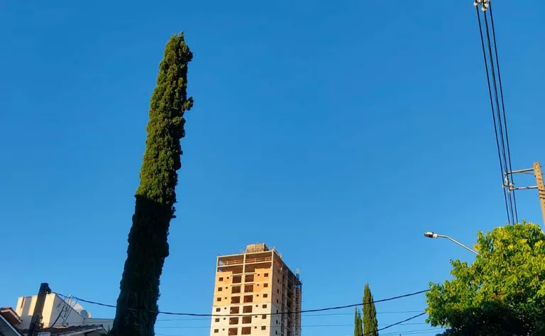 O tempo em Beltrão: temperaturas se mantêm baixas