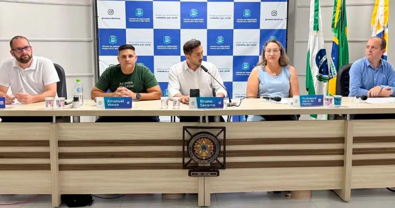 Comissão da Câmara de Beltrão avança no combate à poluição visual