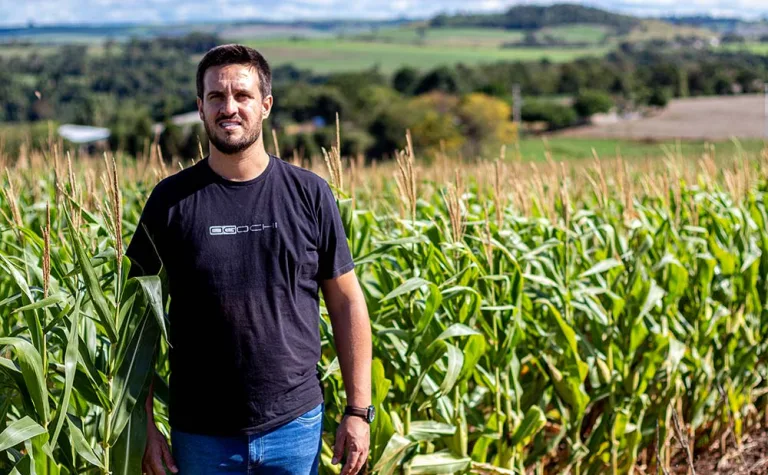 Falta de chuva preocupa produtores de Pérola d’Oeste