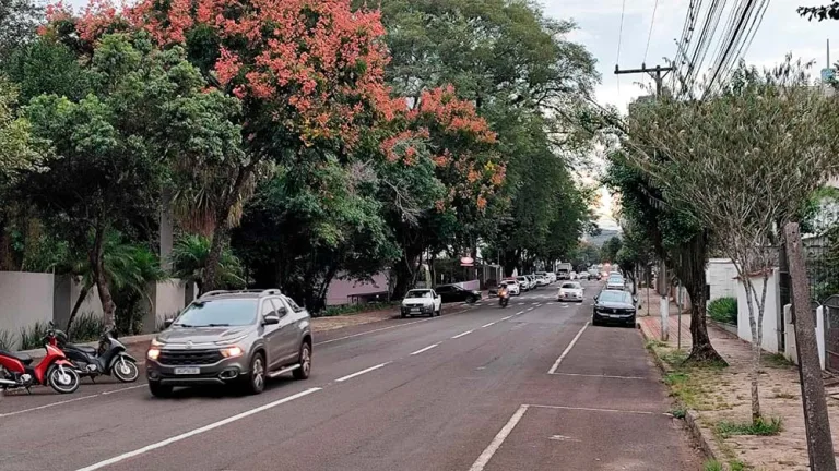 Vereadora pede redutor de velocidade na Rua Curitiba