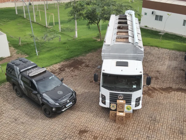 Operação conjunta apreende contrabando na Fronteira