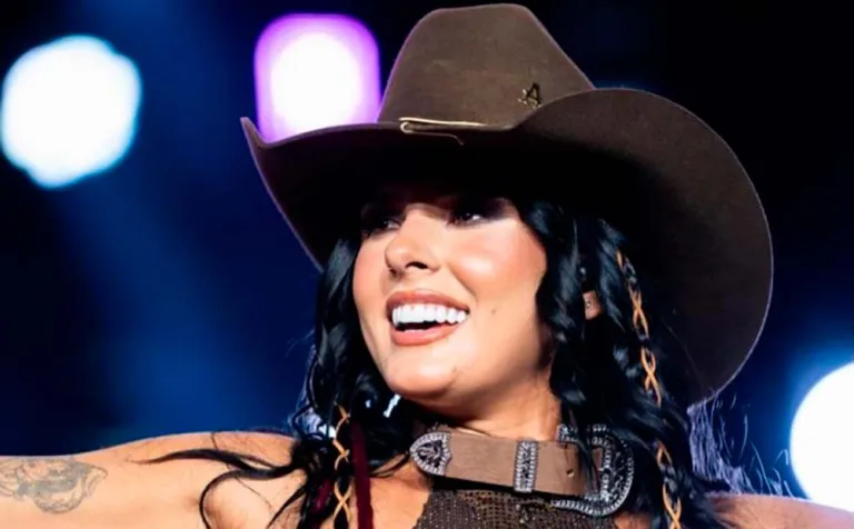 Nas redes sociais, Ana Castela nega aposentadoria