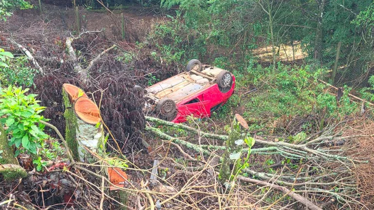 Carro capota na PR-280 e cai em ribanceira em Pato Branco