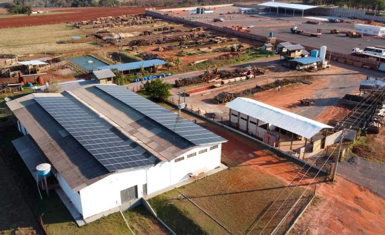 Resultado do Coopera Paraná confirma maior edição