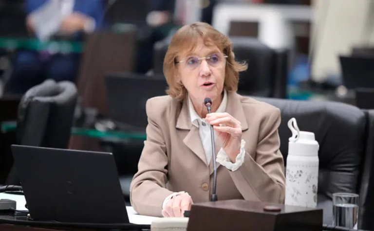 Deputada Luciana Rafagnin (PT) critica reajuste de 19% da Copel