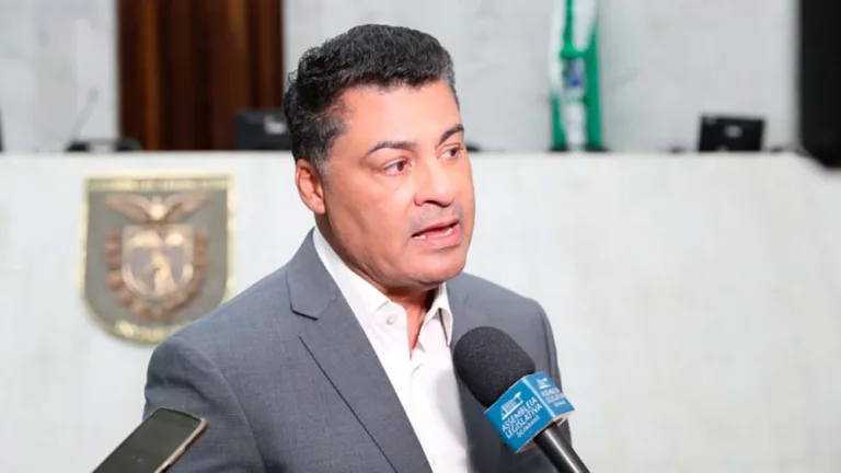 Projeto no Paraná propõe proteção a pets em violência doméstica