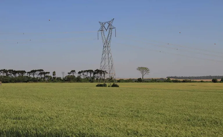 Copel cria canal exclusivo para produtores rurais