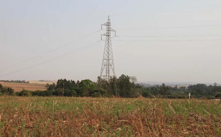 CCJ aprova PL sobre poda em áreas rurais no Paraná