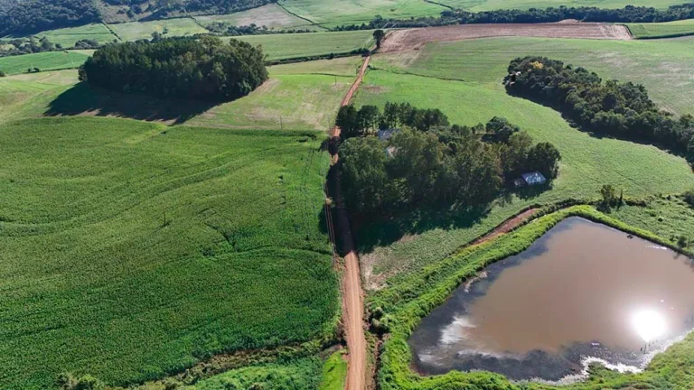 Pavimar iniciará obras em nova estrada, diz Picolotto