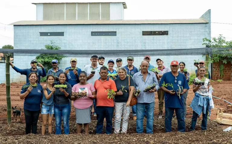Oficinas de hortas valorizam trabalho coletivo
