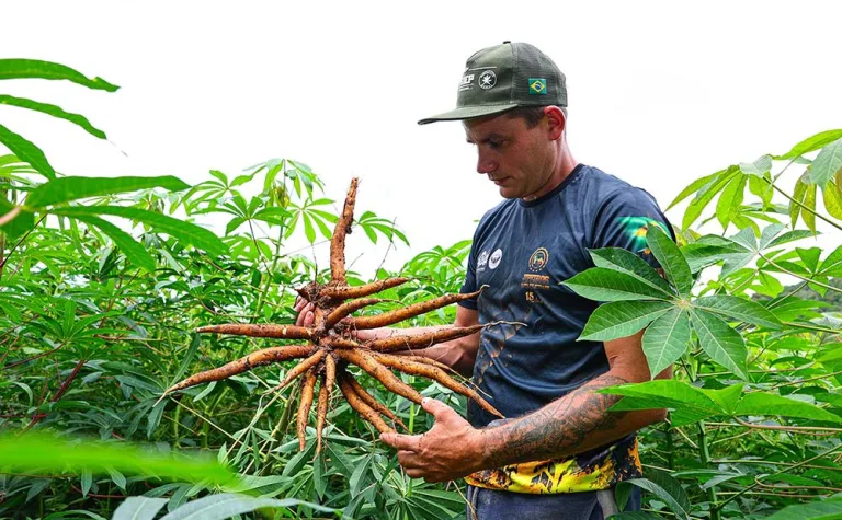 ATeG transforma gestão e amplia resultados nas propriedades rurais