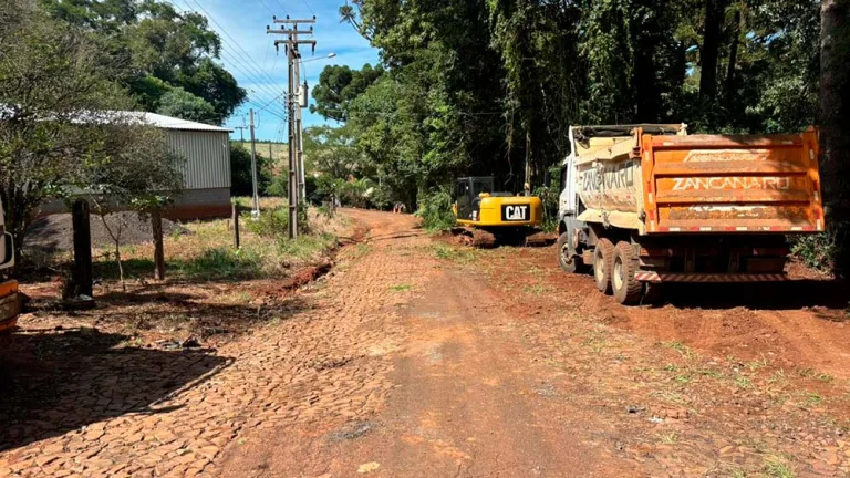 Rua dos Paranaenses será revitalizada