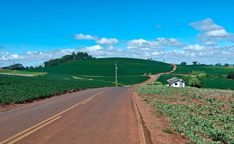 Estrada de acesso ao Laticínio Alto Alegre será revitalizada